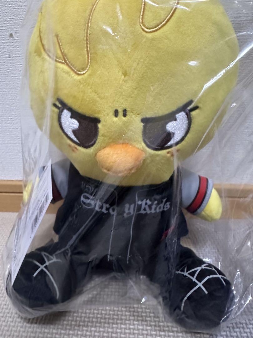 

[USED] StrayKids skzoo Pogari Ecopa Stadium