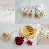 Dried and Preserved Flower Hair Ornament with Gold Japanese and Phalaenopsis Orchid Mizuhiki for and Japanese [Bria] Leaf, Balls, (red) Coming-of-age