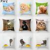 Home Decor Witchcraft Cat Stealing  Cushion Cover Cute  Sofa Car Decoration 45x45cm Pillowcase Square Polyester