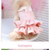 Pet Spring Summer Cake Dress Three-dimensional Flower Lace Teddy Bigbear Holiday Dress