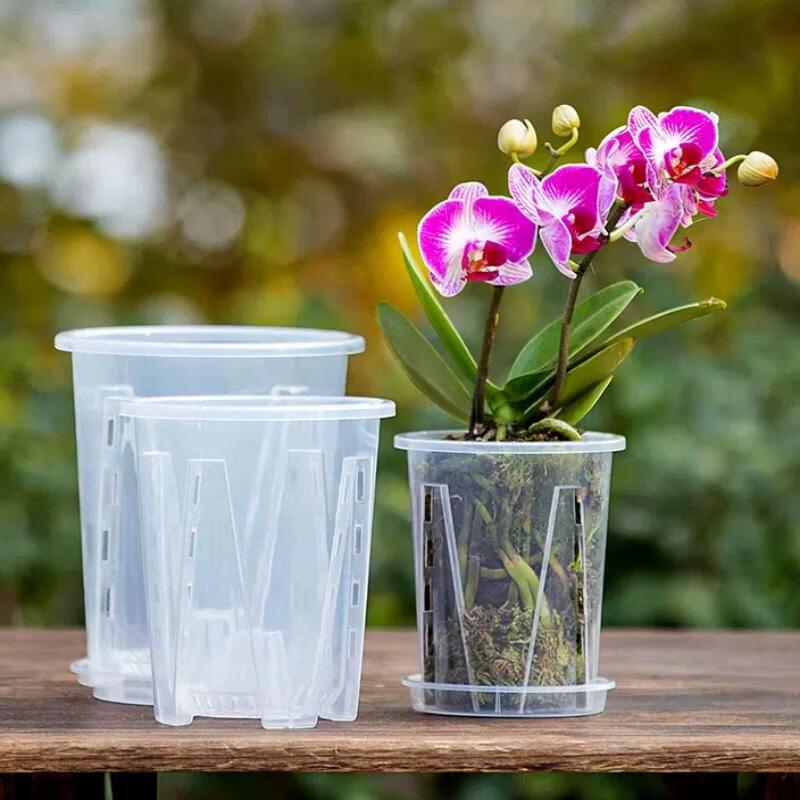 Meinaijia Transparent Breathable Orchid Pot