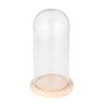 Micro Landscape Flower Glass Cover Eternal Transparent Dustproof Glass Dome 9x15cm Wooden Base DIY Valentine Gift