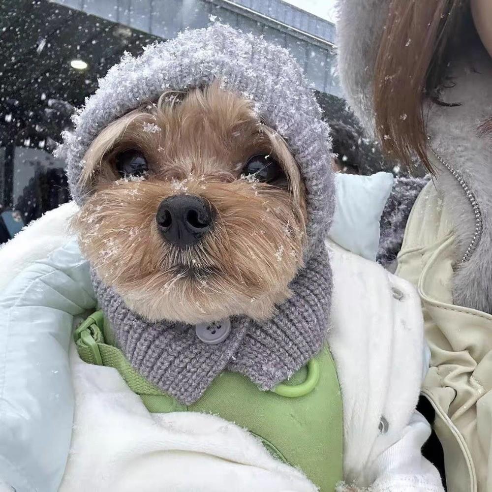 Soft Pet Hooded Scarf Warm Cat Bear Hat Pet Accessories Dog Decorative Hat  Pet Party