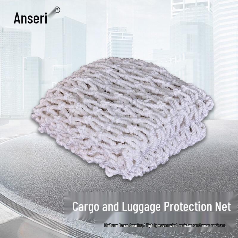 Ansaire Container Cargo Safety Net