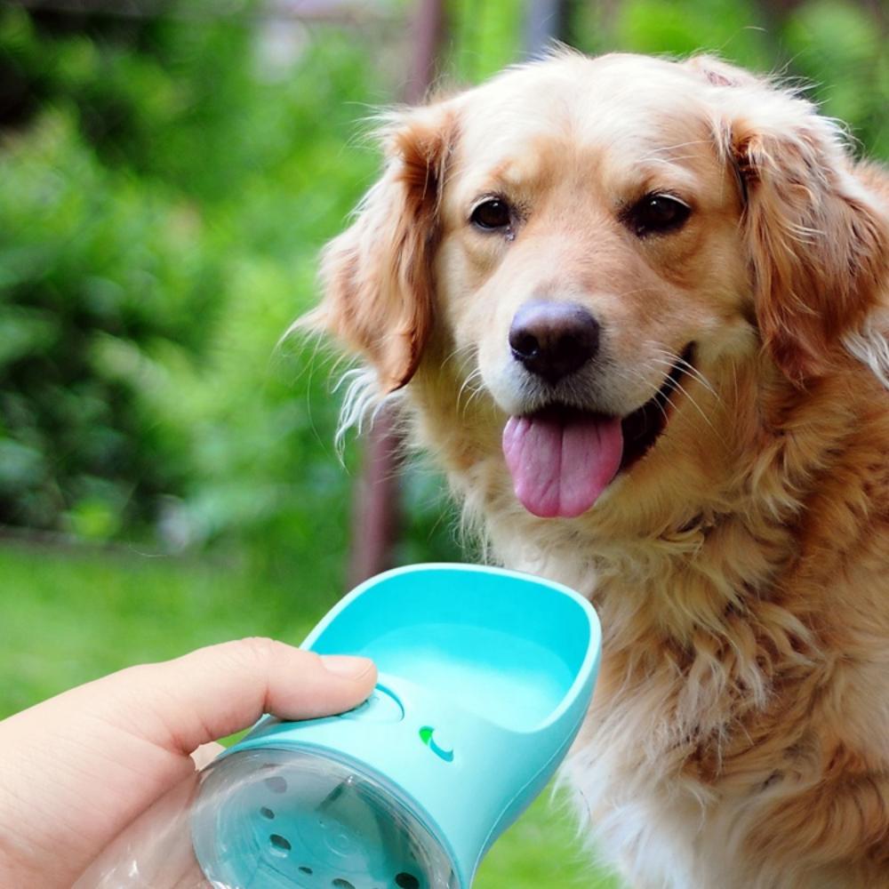 2023 Outdoor Leakproof Portable Puppy Pet Travel Water Bottle for Dogs