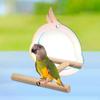 Bird Perch Stand with Mirror Tabletop Entertainment Toy Portable Natural Wood Training