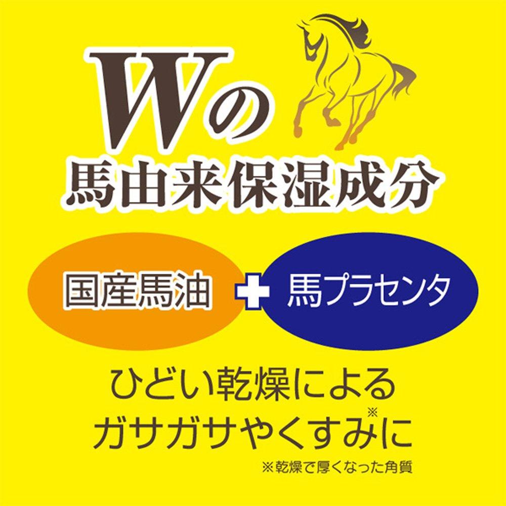 Loshi Horse Oil EX Skin Cream High Moisture Type Smooths Cracked and Dry Skin 100g Made In Japan