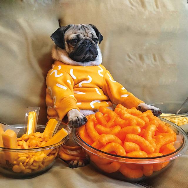 

LCOZX 5D Алмазная картина Французский бульдог Полный круглый квадратный набор для вышивки крестом DIY Алмазная мозаика Милый мопс Собака Животное