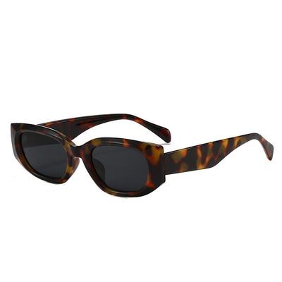 Gafas y accesorios – Gafas de sol