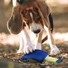 Dog Scent Training Kit, Scent Work Training Kit for Dogs Nosework for Dog Mental Stimulation Agility Training Equipment