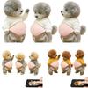 3/9 Peças Adesivos de Barriga de Cachorro Urso 3D Cachorrinho Fofo Usando Roupa Silicone Autoadesivo Alívio de Estresse Para Decoração de Casa E Telefone 2026