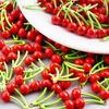 3D Fruit/Animal Enamel Charms For Jewelry Making Supplies Cherry Pea Lobster Corn Pendant Charm DIY Earrings Keychain Materials
