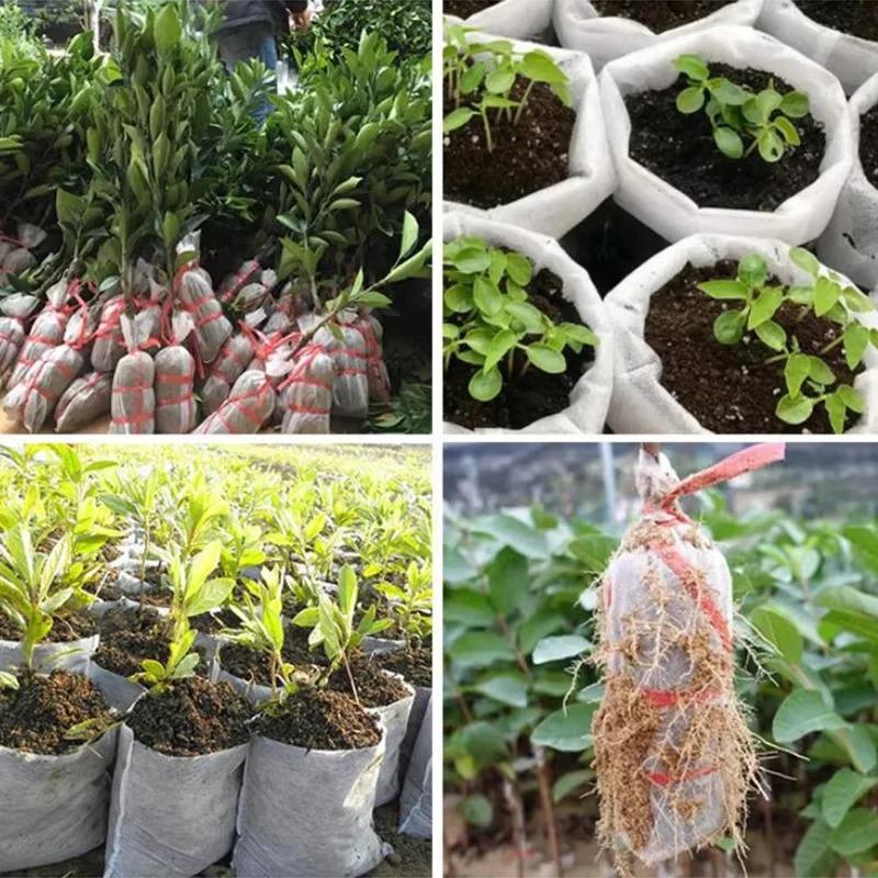 100PCS Non-woven Seeding Grow Bags Biodegradable Seed Nursery Bags Plants Seeds To Sow Flower Pots Pouch Home Garden Supply