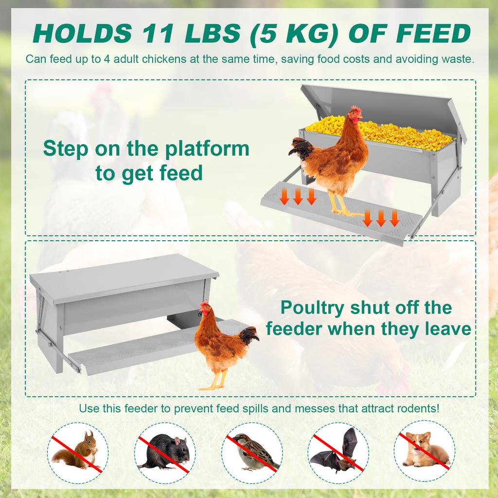 Automatic Chicken Feeder Rat Proof Chicken Feeder Metal Chicken Feeder Suitable for Chicken Bantams Poultry Pheasants Etc