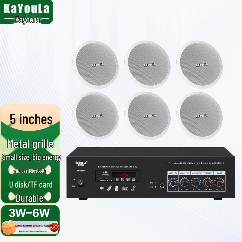 

KaYouLa 1-to-6 5-inch Ceiling Speaker Set for Conference Audio (CN version)