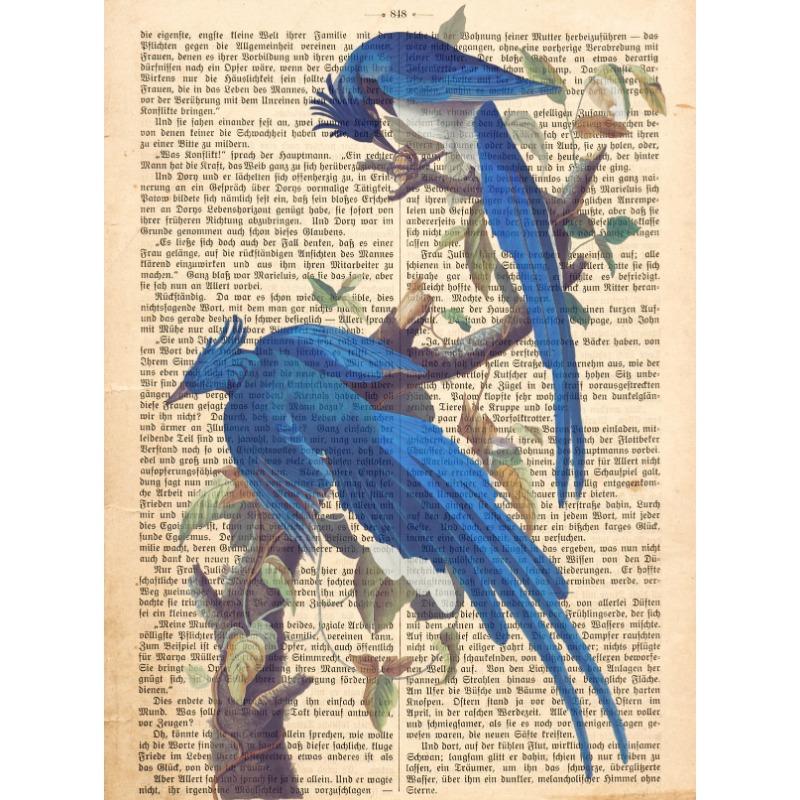 Garden Birds Prints On Old Antique Book Page Botanical Animals Poster and Prints Painting Wall Pictures Living Room Home Decor