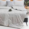 Hongdou Qingyu All Season Silk Blend Quilt