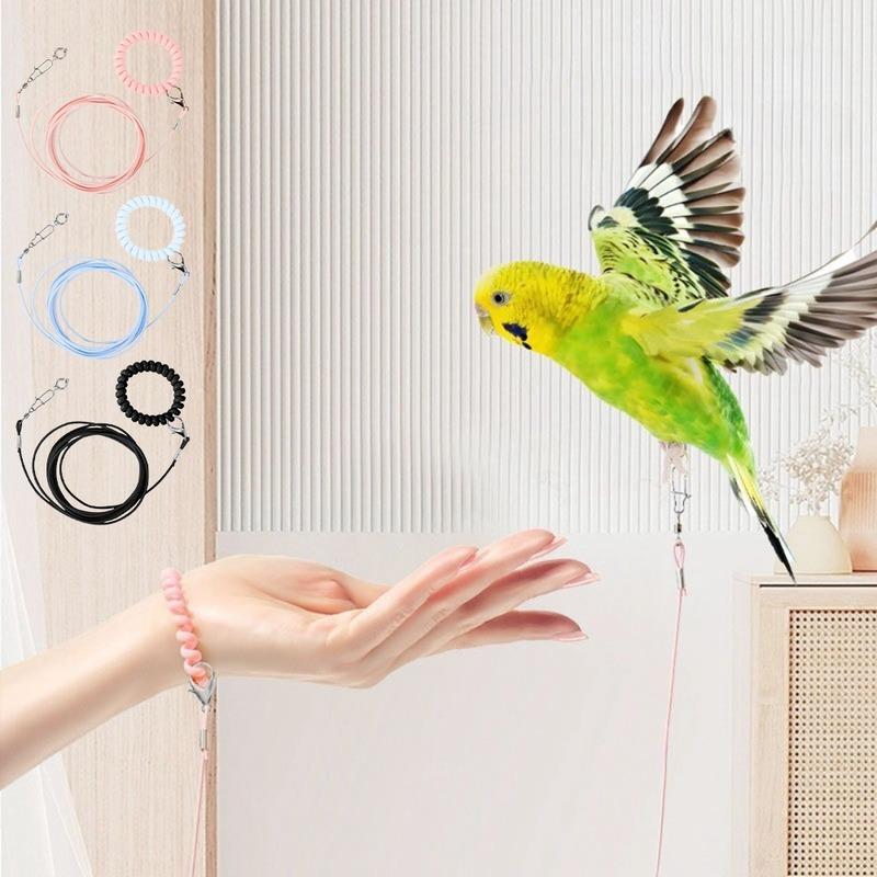 New Elastic Parrot Traction Rope Metal Buckle Multiple Size Bird Foot Chain Anti-flying Lightweight Bird Feet Bracelet for Birds