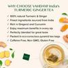 VAHDAM, Turmeric Ginger Infusion Bags (50 Bags) | Caffeine Free, Non-GMO, Gluten Free | Turmeric with Ginger - Savory & Spicy | Direct from Source
