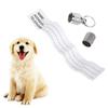 1-6Pcs Dog Cat Storage Tube Anti Lost Address Label Pet Name Address ID Tags Mini Metal Collar Tube Necklace Pendants Collars