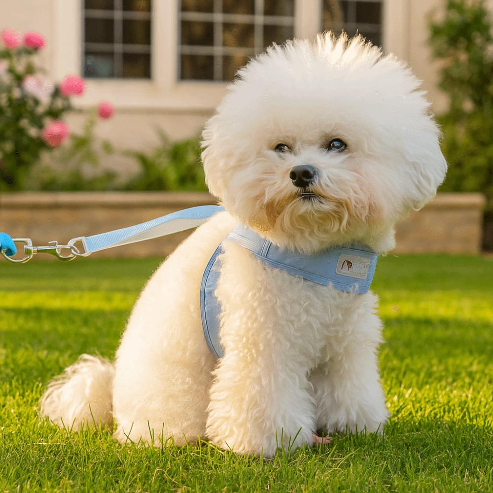 Comfortable Dog Harness Vest Adjustable Puppy Chest Strip Practical Dog Leash for Puppy Dogs