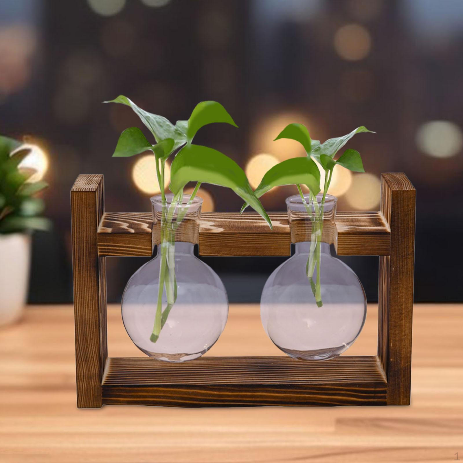 

Элегантное стеклянное кашпо с деревянной основой для любителей растений 19.8x5.7x13cm