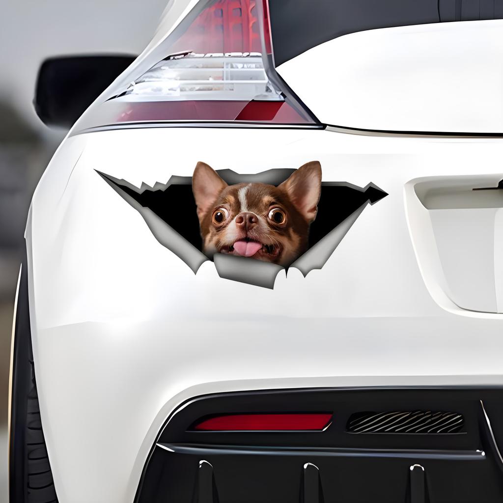 Autocolante maro pentru mașină Chihuahua pentru câini ascunse în găuri, autocolante impermeabile pentru decorarea mașinii în formă neregulată