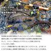 Daiwa Trout Silver Creek Minnow TS 44S Lure