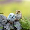 Moss -landscape creative green plant gift zakka resin bare-footed owl decorative ornaments