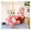 Transforming Doll Bear Plush Toy Sleeping Pillow Girl Child Gift Decoration