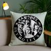 Rock R-Ramones Pillow Case Office Sofa Dorm Chair Back Short Plush Double-Sided Printing Home Cushion Cover