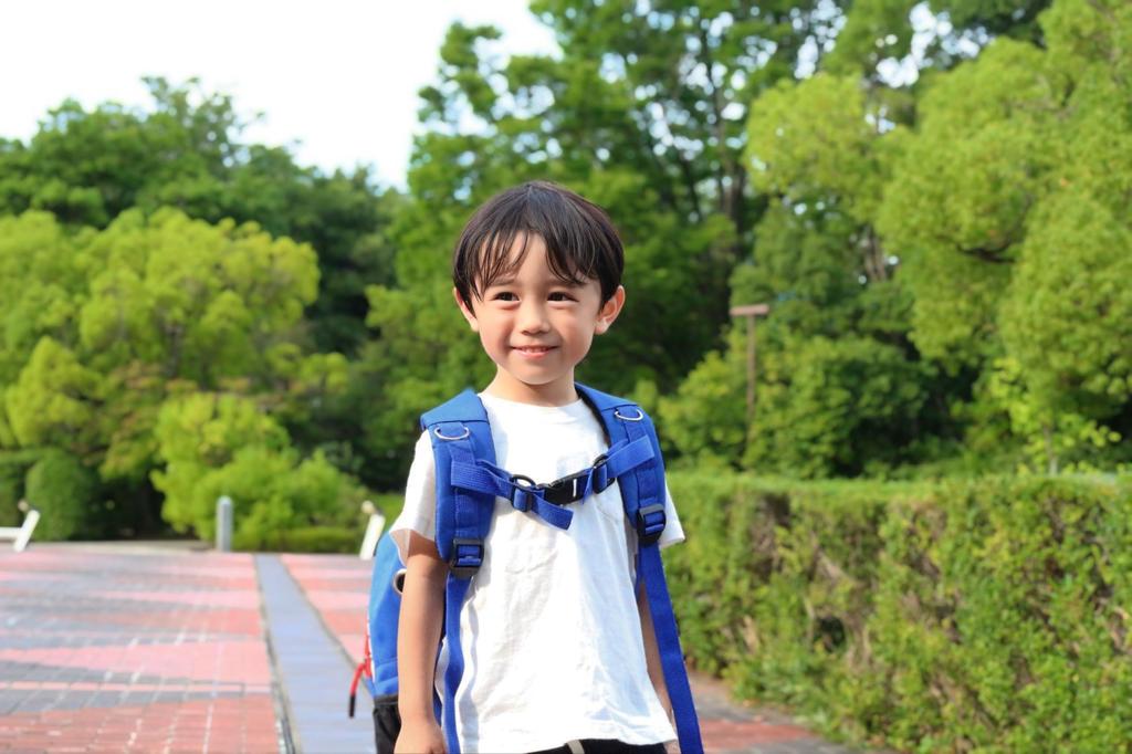 alpaco Shark Backpack for Boys and Suitable for and Elementary School Chest Shark Perfect for Field Commuting to and as a Cute Gift for Starting or