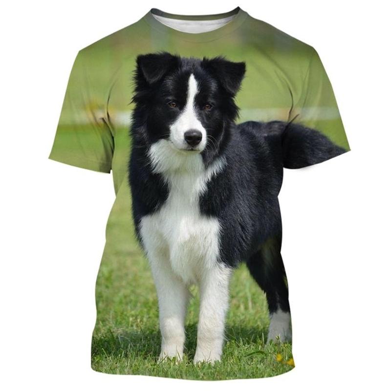 Border Collie 3D Gedrucktes T-Shirt Für Männer Mode Niedlicher Tierhund Unisex Rundhals Lässig Kurzarm T-Shirt Kleidung