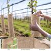 Boom Beschermer Wrap Struik Planten Vorstdoek Warmhouden Winterbestendig Anti-Vriesverband Plantbeschermhoes