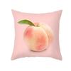 Vikama Pink Aesthetic Pillow Covers Set Cute Animal & Pattern Cushion Cases For Girls Bedroom Sofa Living Room Home Decor
