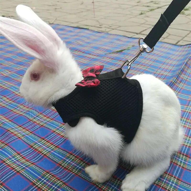 Cute Harness Leash Set with Bow Bunny Vest Harnesses Leashes for Chinchilla Hamster Golden Bear Outdoor Walking Pets Accessories