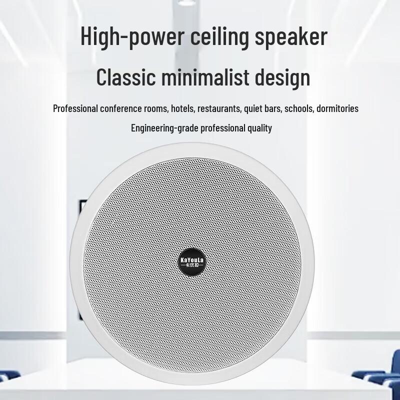 KaYouLa Professional Ceiling Audio Speakers and Horns (CN version)