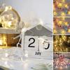 10LED String Lights Colorful LED 150CM Waterproof Transparent Light String Home Decor Battery Powered for Weddings Butterfly