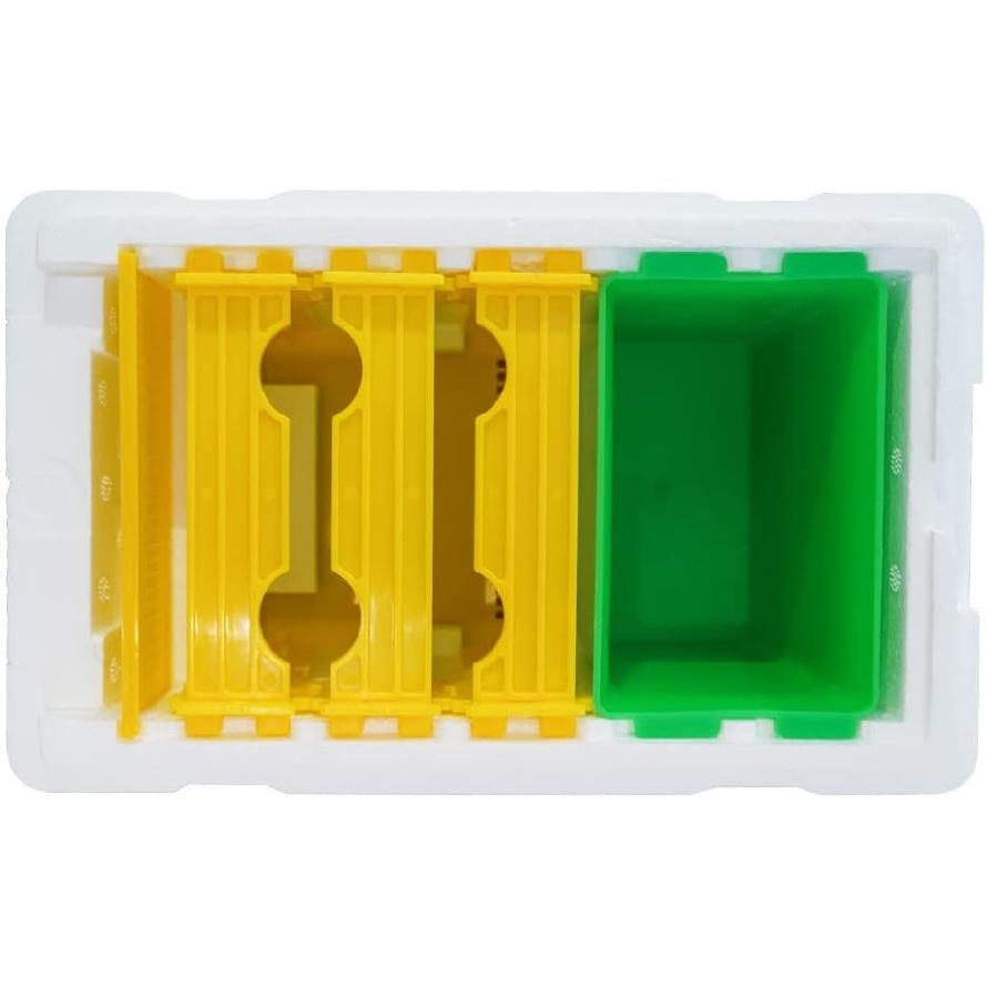 Queen bee breeding Box bee apidea mating nuc hive Queen Rearing nucs Mini bee Hives Beekeeping mating hive Box