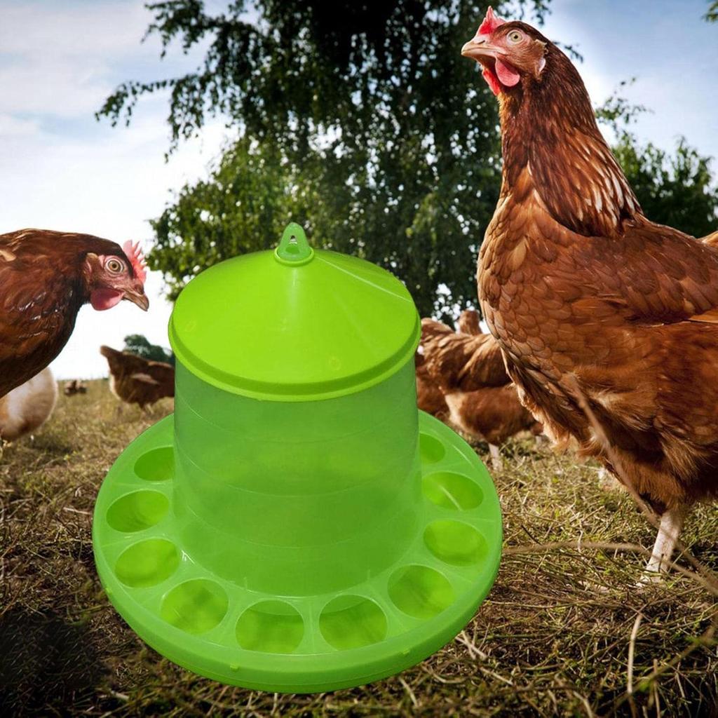 2kg Automatic Poultry Feeder Feed Bucket Farm Animal Barrel Chicken Feeder Waterer For Chick Livestock Peacocks Turkey Bird