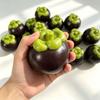 Flexible Mangosteen Ball Skin Soft TPR DIY Pressure Ball Kit DIY Empty Ball Skin  Children Gift