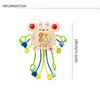 Carrot Baby Pull String Toy Develops Cognitive Crab Montessori Sensory Toys   Gifts