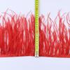 Feather10-15CM Multicolor Ostrich Feathers Trim 1Meter 5Meter 10Meter Natural Plumes Selvage Tassel Ribbon For Wedding Dress Decoration