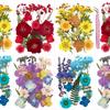 4 Confezioni di Fiori Secchi Pressati per Resina, Fiori Secchi Naturali per Artigianato, Fiori Secchi Pressati Reali Foglie Secche all'Ingrosso per Gioielli in Resina Epossidica, Scrapbooking
