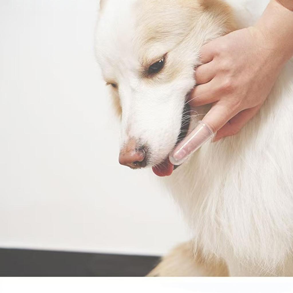 Dog Toothbrush, 3 Pack Finger Tooth Brushing Kit, Food Grade Silicone Pet Toothbrush for Dogs & Small Breed