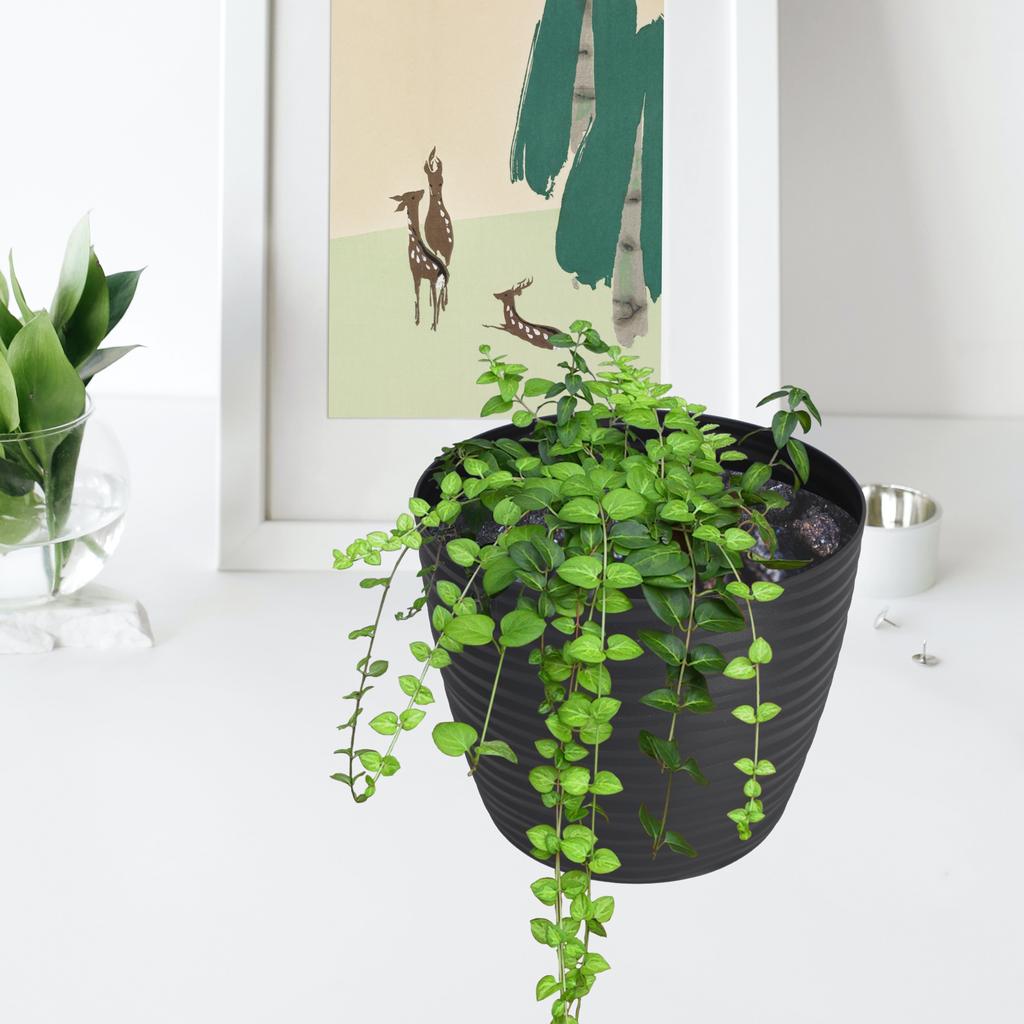 KADAX Doniczka Donica Na Kwiaty 13cm Osłonka Okrągła Kwietnik Plastikowa Antracyt