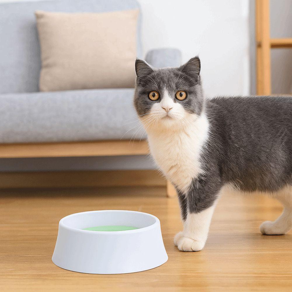 Spill Proof Pet Water Dispenser Large Capacity Dog Drinking Bowl Cat Water Fountain for Home