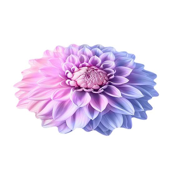 3D Blomst Gulvmatte Absorberende Stor Blomst Områdeteppe Sklisikker Baderomsmatte