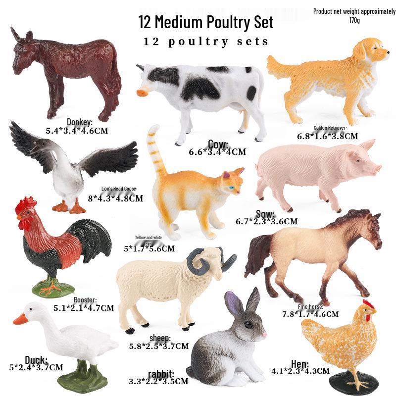 Animal Model Toys Set: Bee, Spider, Centipede, Mantis, Grasshopper, Dragonfly, Butterfly, Beetle, Scorpion, Ant.