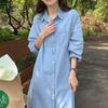 Korean Autumn Denim Long Sleeve Lapel Shirt Dress for Women
